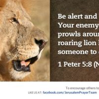 Prayers for the Week: Beware the Roaring Lion